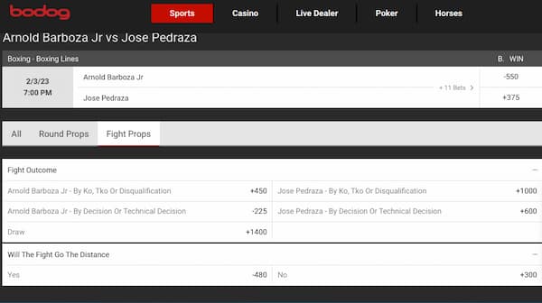 boxing prop bets